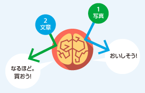 1写真…「おいしそう！」　2文章…「なるほど。買おう！」