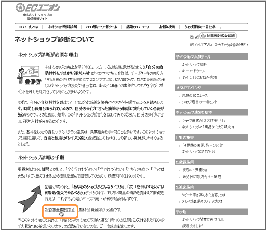 ネットショップ診断について