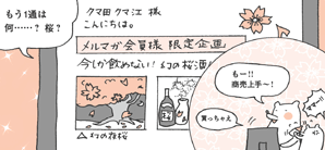 くまがいさん「もう1通は何……？　桜？　もー！！　商売上手〜！」