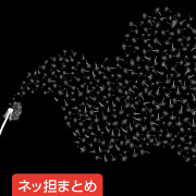 ネッ担まとめ