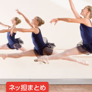ネッ担まとめ