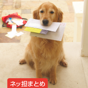 ネッ担まとめ