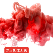 ネッ担まとめ