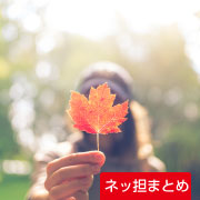 ネッ担まとめ