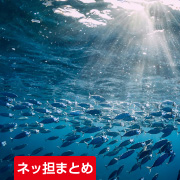 ネッ担まとめ