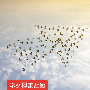 ネッ担まとめ
