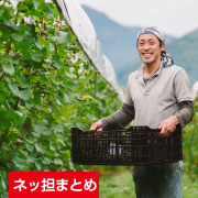 ネッ担まとめ