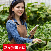ネッ担まとめ