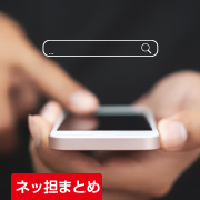 ネッ担まとめ