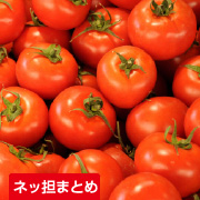 ネッ担まとめ