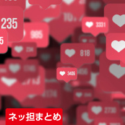 ネッ担まとめ