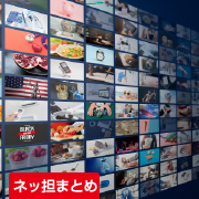 ネッ担まとめ