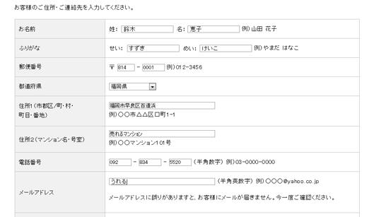 【B】入力中に入力不備は分からない 