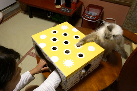 シニアチームのもぐらたたき