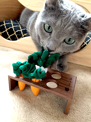 猫専用お野菜おもちゃ（はたらくぬこ）