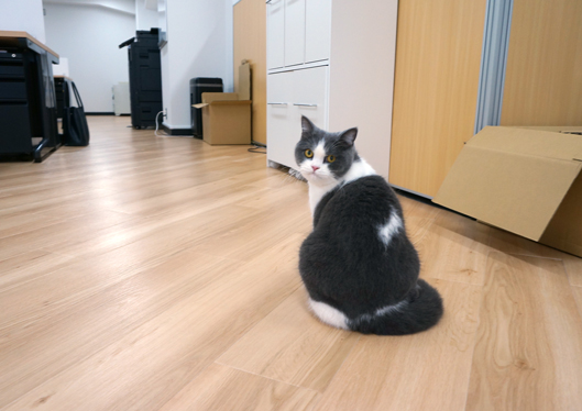 執務コーナーのまる美