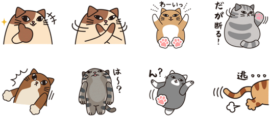 フェリシモ「わがままにゃー」