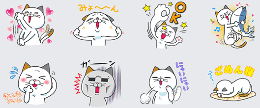 DHC「タマ川 ヨシ子（猫）」