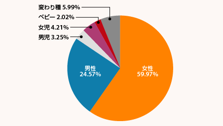 女性向けがAmazonのプライベートブランドのアパレルカテゴリーの6割近くに