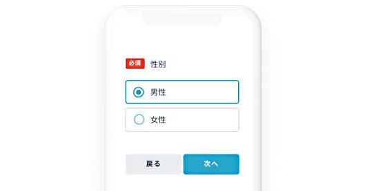 「1画面1質問」のフォームのイメージ