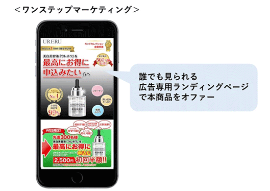 図：誰でも見られる広告専用ランディングページで本商品をオファー