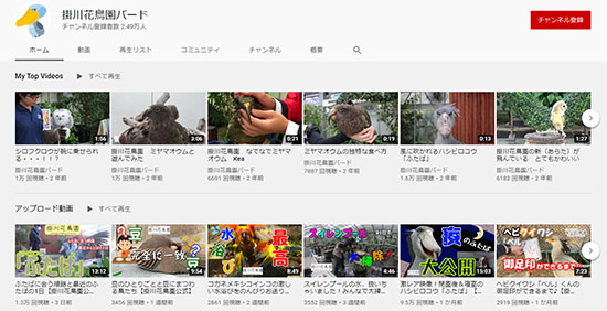 掛川花鳥園 自社EC ECサイト開設 掛川花鳥園公式通販サイトFBPショップ YouTubeチャンネル