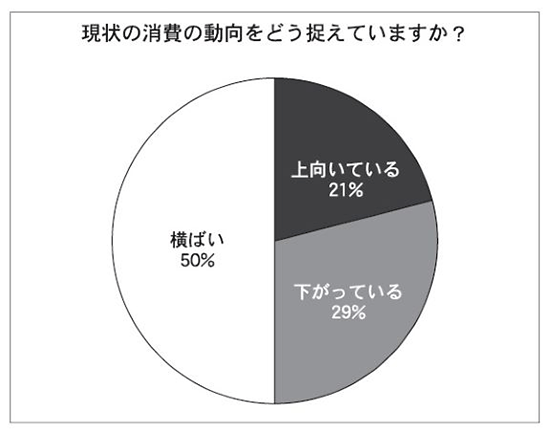 通販新聞 現状の消費の動向をどう捉えているか