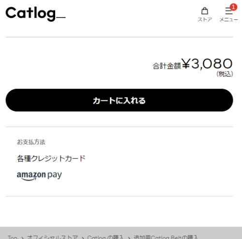 RABOの決済手段はクレジットカードと「Amazon Pay」の2種類