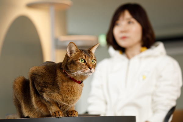 
「猫様の飼い主にとって買いやすく続けやすいサービスにする」。IoTデバイス＋EC＋データで“猫と一緒の生活”を支えるビジネスとは
