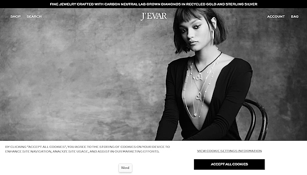 ジュエリーを販売するJ'evarのECサイト（画像は編集部がサイトからキャプチャ）