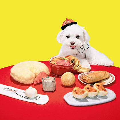 中華料理を模した犬向けの玩具「わんこのための本格中華を好きなだけ、犬七番飯店の会」