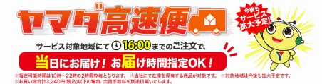 「ヤマダウェブコム」で提供されている当日配送サービス「ヤマダ高速便」