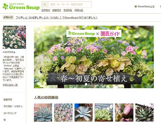 アライドアーキテクツが3月31日に会社分割（簡易新設分割）によって新設する植物特化型SNSプラットフォーム運営のGreenSnapの全株式について、アライドアーキテクツから取得、大都が完全子会社化