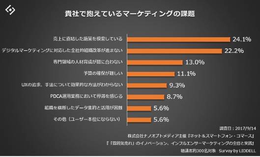 リデルが実施したマーケティングの課題調査