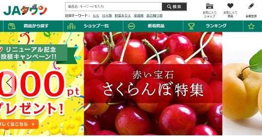 全国農業協同組合連合会（JA全農）は6月18日、ECサイト構築システム「ecbeing」を展開するecbeingの子会社に出資