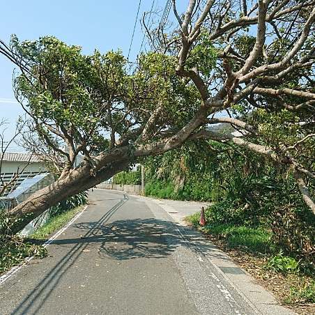 ZOZOはこのほど、売上金の一部を台風19号の被災地に寄付する「2019年台風15号千葉災害支援プロジェクト ZOZOTOWN×CHIBA」を始めた