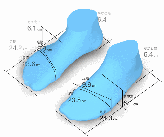 「ZOZOMAT」で得た足の3D計測データ（16歳以上を対象とした約94万人のデータ）から、「足長」「足幅」「足囲」「かかと幅」「足甲高さ」の5指標について、男女全体と男女別に、日本全国の「平均足型」と「足の平均サイズ」を算出した