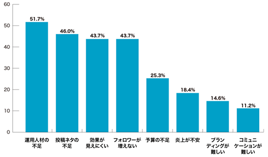 調査 EC事業者のSNS活用状況 SNS運用における課題