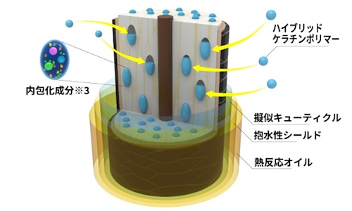 毛髪補修成分がダメージ毛の空洞化部分を補修するイメージ（画像はシャープの公式サイトから編集部がキャプチャ）
