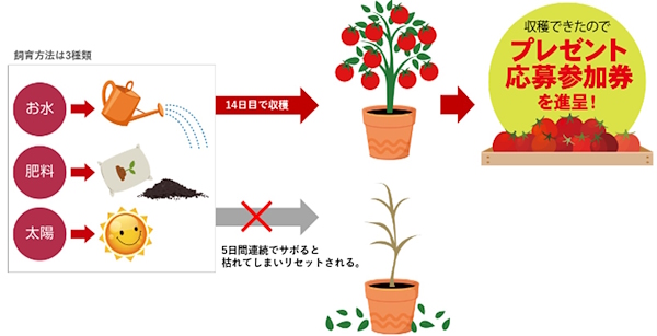 ゲーム感覚でアプリの継続を促す「エブリデイサラダ」