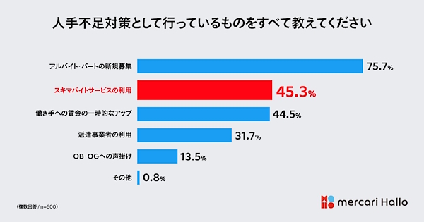 人手不足対策として行っていること（複数回答可）